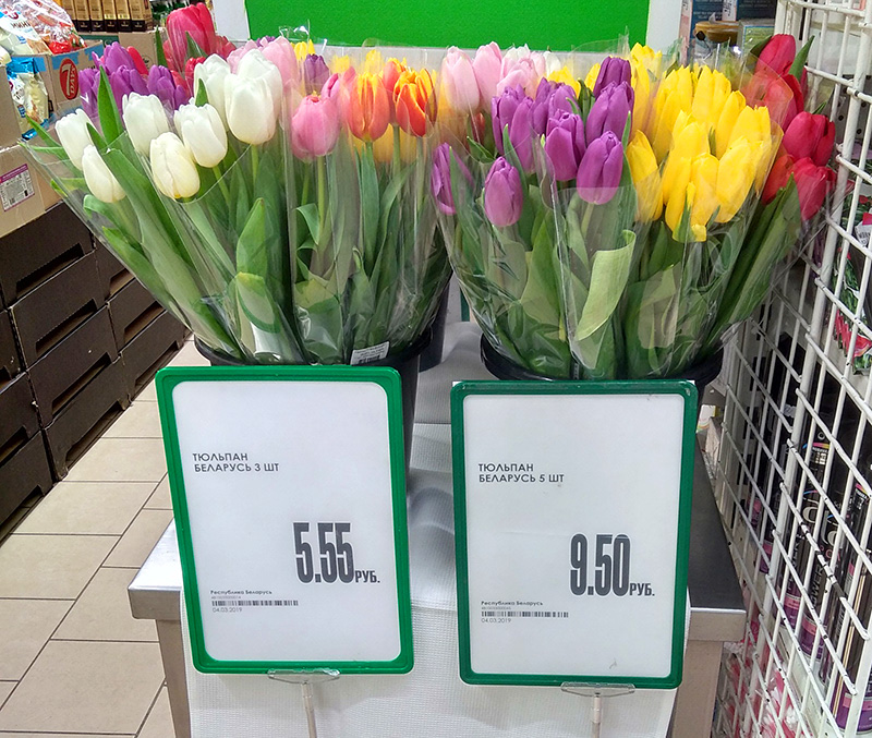 Сколько продают тюльпаны