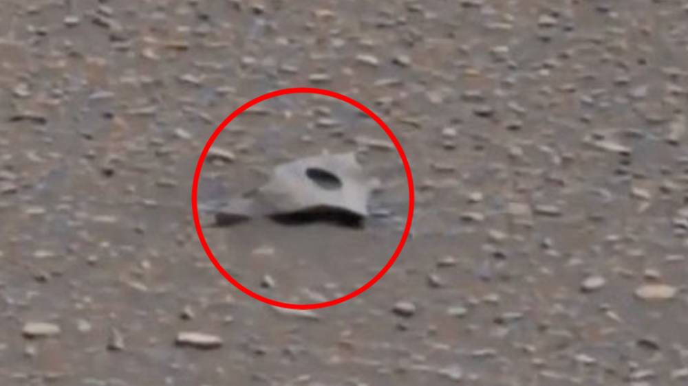 На фото с Марса нашли обломок, похожий на часть внеземного корабля. Шах и мат? (видео)