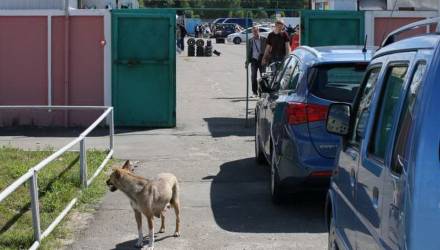 МВД запустило новый сайт, на котором можно "пробить" автомобиль по VIN