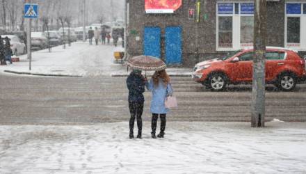 Март такой декабрь... На Гомель обрушился снегопад – фоторепортаж с улиц