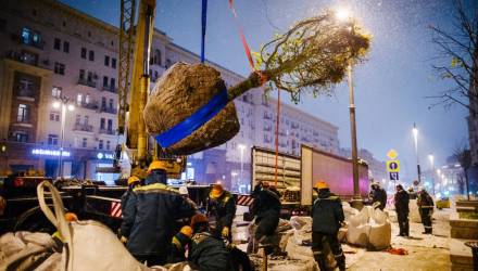 Семейный парк в Гомеле, 10 тысяч деревьев-крупномеров на городских улицах и красивые родники