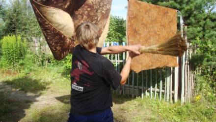 В Гомеле студент решил выбить ковёр и получил за это в глаз перцовым спреем от безработного