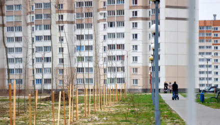 Гомелю намерены вернуть славу зелёного города