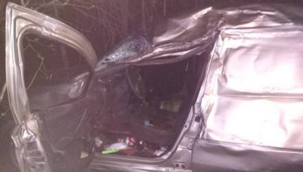 В Гомельском районе водитель съехал с дороги, врезался в дерево и погиб