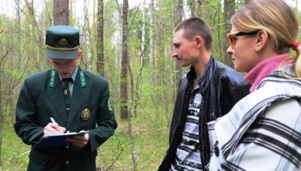 Не шути с огнём: в Гомельском районе провели мониторинг по предупреждению лесных пожаров
