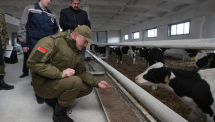 Помочь бывшим заключённым. Глава МВД Игорь Шуневич проконтролировал работу хозяйства "Хутор-Агро" на Гомельщине