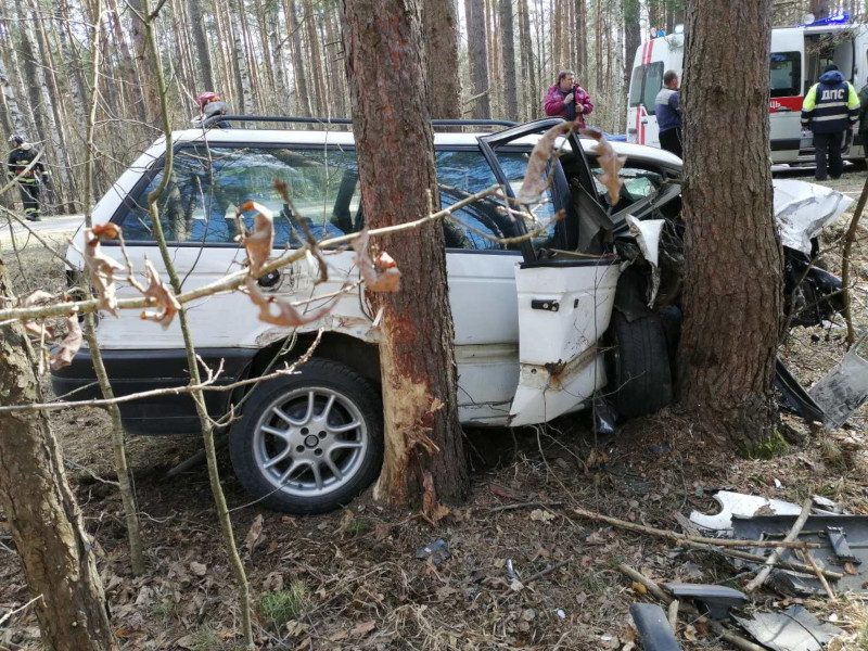 В Речицком районе пьяная женщина-водитель съехала в кювет и врезалась в деревья – мужчина-пассажир в реанимации