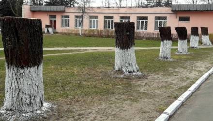 Что хотел сказать автор? Разгадываем назначение подозрительных объектов в Калинковичах
