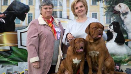 Дай лапу, пёс: республиканская выставка собак всех пород прошла в Гомеле