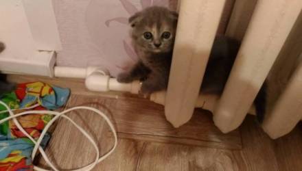 На Гомельщине начали отключать отопление на предприятиях, в административных зданиях и домах