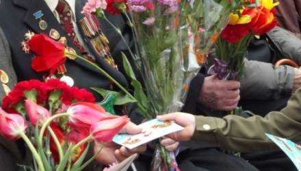 Сколько ветеранов Великой Отечественной войны проживает на Гомельщине