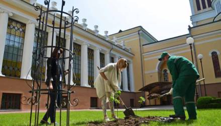 "Ирина Паскевич" зацветет. В Гомеле высадили уникальный сорт сирени (фото, видео)