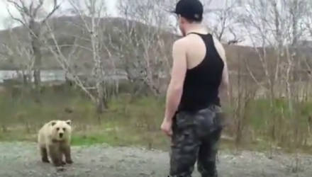 На Камчатке турист хотел поиграть с медведем, и тот его проучил – видео