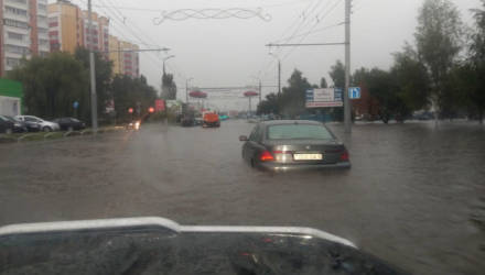 Берегите автономера. В ближайшие дни синоптики обещают в Гомеле сильные ливни с громом и молниями