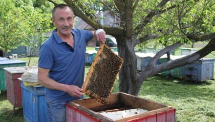 Пчеловод Сергей Миронов из агрогородка под Гомелем: Главное – чтобы пчелосемьи были заняты работой