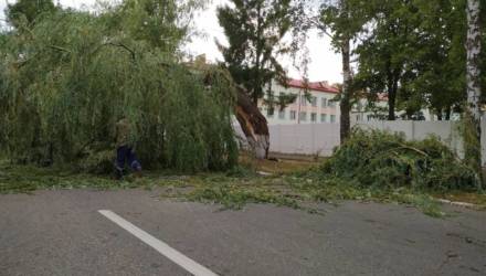 В Гомеле, Ветковском и Речицком районах сегодня утром бушевала стихия: поваленные деревья и столбы, разрушенные крыши, двухсантиметровые градины