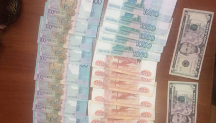 Пока бабушка собирала малину под Гомелем, её обокрали две женщины на 2,6 тысячи долларов