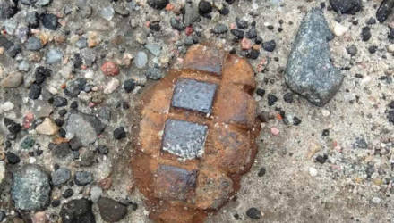 В Гомеле на улице Мазурова нашли гранату