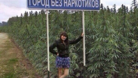 В Гомеле уничтожили тонну дикорастущей конопли