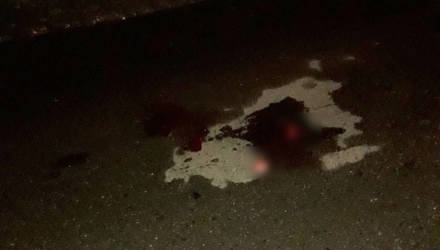 Под Слуцком посреди дороги спал парень. Машина днищем его распорола