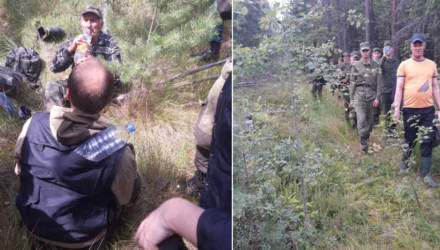 Поиски пожилого ягодника из Калинковичей увенчались успехом, а вот в Речице, к сожалению, пенсионера нашли в лесу мёртвым