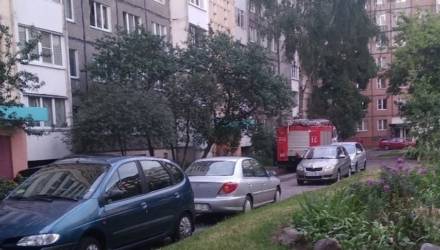 В Гомеле произошла утечка газа в одной из квартир. Пока газовщики ждали хозяйку, погибли две кошки