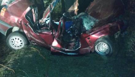 Под Мозырем пьяный бесправник врезался в дерево и погиб