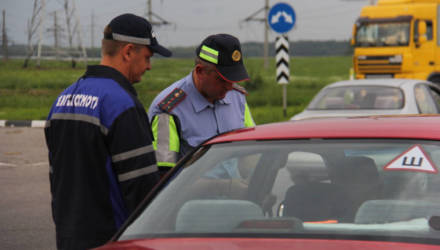 Стали известны первые результаты "охоты" ГАИ на авто без техосмотра: на Гомельщине за сутки выявлено 187 транспортных средств