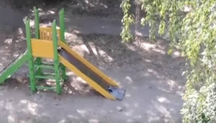 Сельмашевские вороны облюбовали детскую горку в Гомеле. Одна наблюдает, другая катается