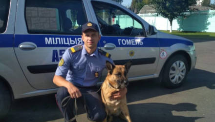 В Гомеле служебная овчарка Найда нашла по запаху украденные из гаража запчасти