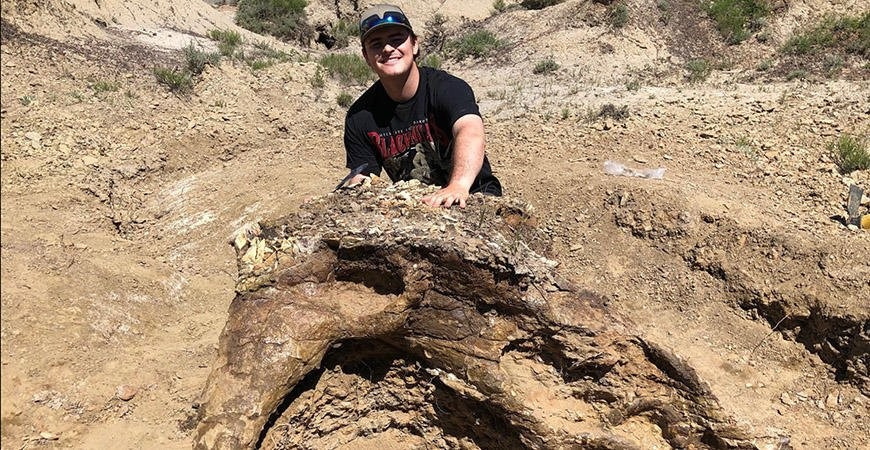Студент на своих первых же раскопках нашёл череп динозавра, которому 65 млн лет