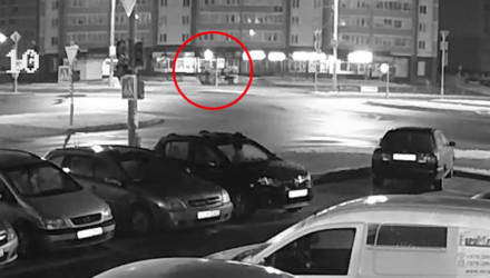 Сладко жить не запретишь: в Беларуси подростки украли 173 пачки мороженого