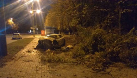 В Гомеле 20-летний парень на Audi разогнался, зацепил бордюр и врезался в дерево. Пострадала 21-летняя девушка-пассажир