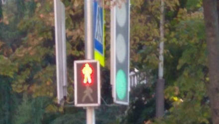 "Рядом гимназия и три садика". В Гомеле установили новый светофор