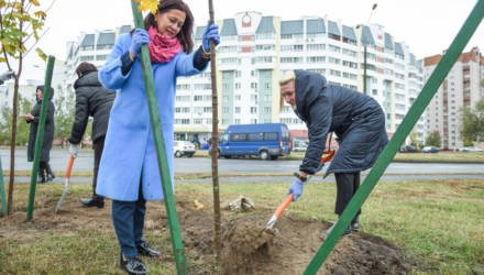 В Гомеле на улице Каменщикова высадили Аллею матери