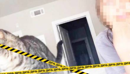 Парень испугался, заметив на видео, как за спиной девушки прячется жуткая фигура