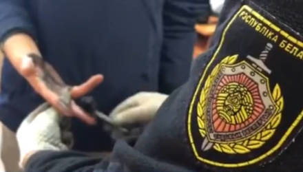 Гомельские оперативники задержали парня, который сорвал сумку с плеча пожилой женщины (видео)
