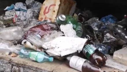 Гуляли на природе и не выдержали. На Гомельщине супружеская пара вывезла из леса грузовик мусора