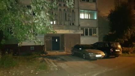 В СК рассказали подробности жестокого убийства гомельчанина родным братом