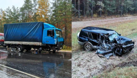 Под Светлогорском водитель внедорожника врезался в МАЗ, вылетел в кювет, а после – убежал в лес