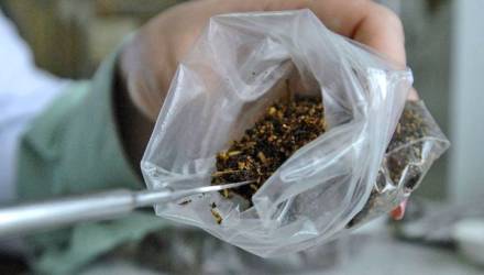 В Гомеле девочка рисовала на фасадах рекламу наркомагазина, а другой подросток-курьер на вопрос о деньгах ответил родителям, что получил наследство
