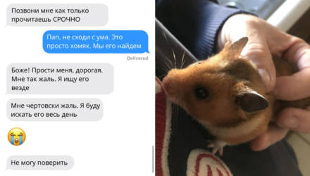 Отец потерял хомяка дочки, и вот самые смешные СМС, которые он в панике писал ей