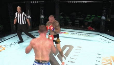 Нокаут года? Французский боец с вертушки вырубил ветерана UFC