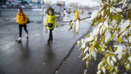 Заморозки и мокрый снег. Погода в Гомеле на неделю