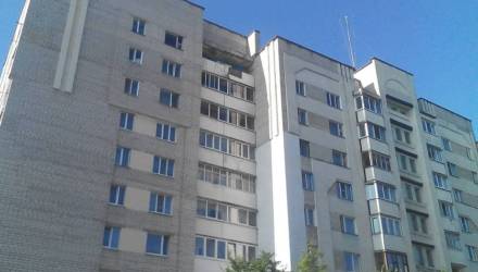 В Мозыре вынесен приговор пенсионеру, который выбросил кошек с балкона 9 этажа