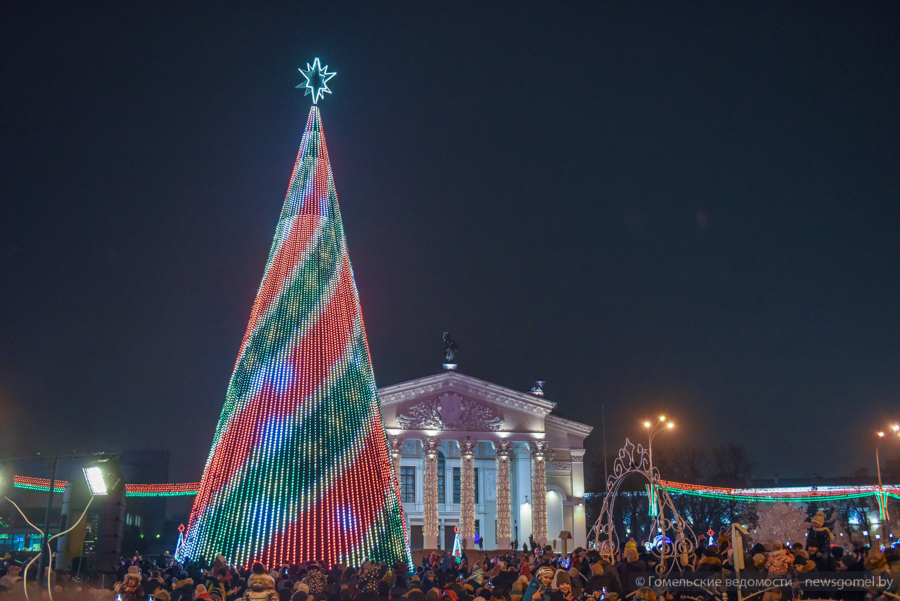 В Гомеле торжественно зажгли главную новогоднюю ель-красавицу