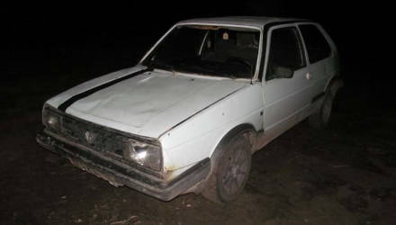 На Гомельщине лось попал под колёса авто. Животное добили ножом и перевезли