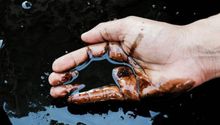 Три новые залежи нефти открыты на Гомельщине