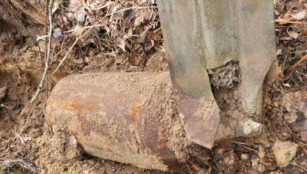 В Гомельской области обезврежены две авиабомбы