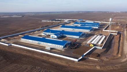 Экспериментальная база «Криничная» открыла на Гомельщине новую молочно-товарную ферму